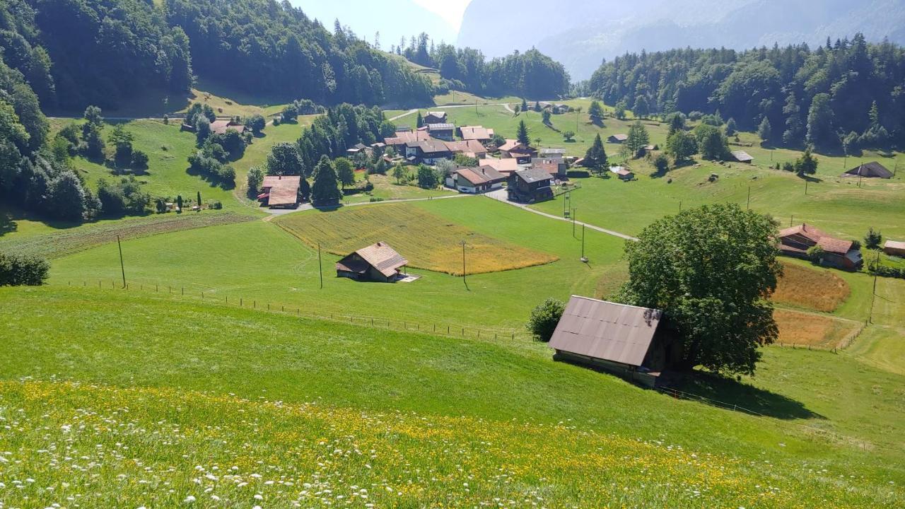 Chalet Bruenig ميرنغن المظهر الخارجي الصورة