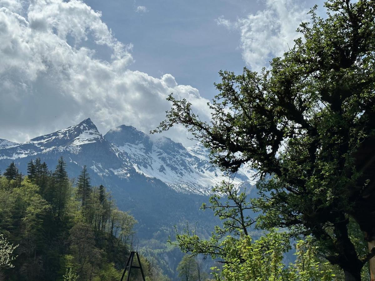 Chalet Bruenig ميرنغن المظهر الخارجي الصورة