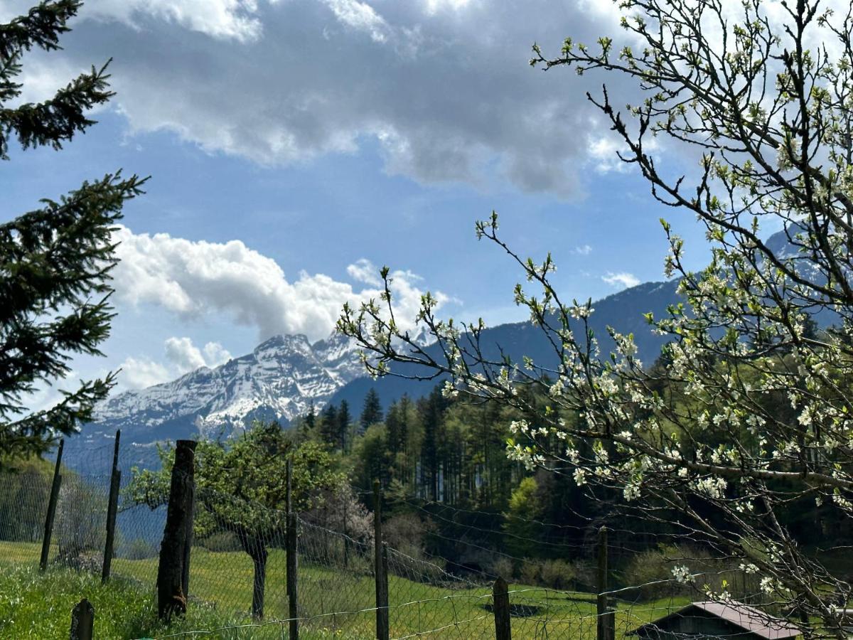 Chalet Bruenig ميرنغن المظهر الخارجي الصورة