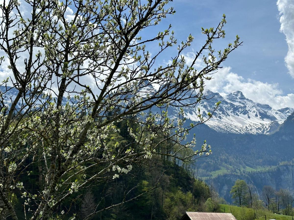 Chalet Bruenig ميرنغن المظهر الخارجي الصورة