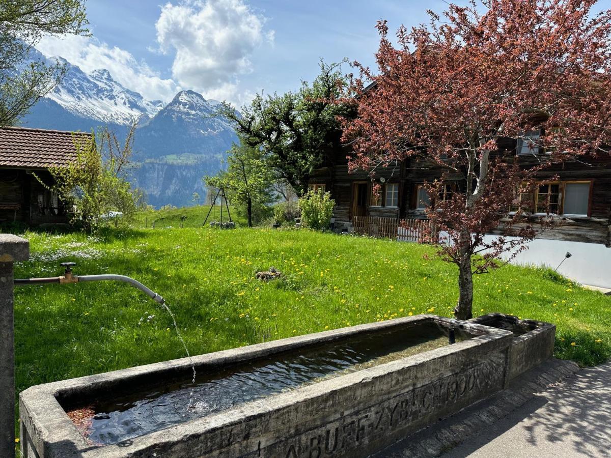 Chalet Bruenig ميرنغن المظهر الخارجي الصورة