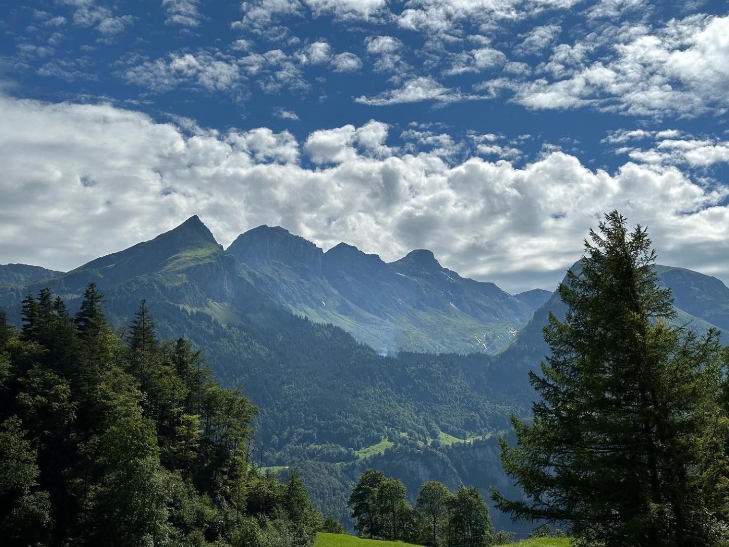 Chalet Bruenig ميرنغن المظهر الخارجي الصورة