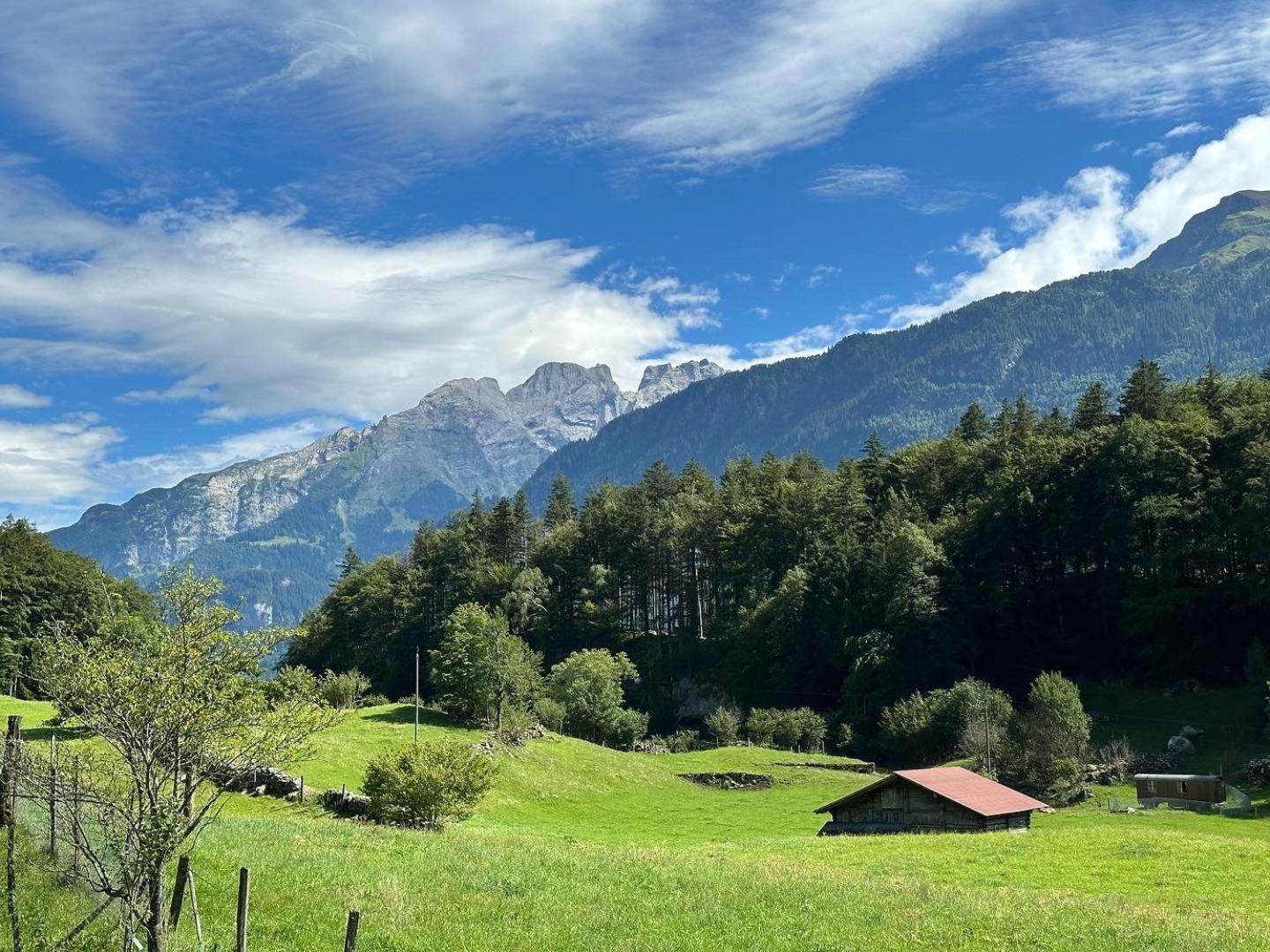 Chalet Bruenig ميرنغن المظهر الخارجي الصورة